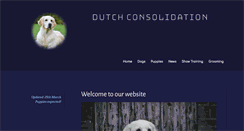 Desktop Screenshot of dutchconsolidation.nl