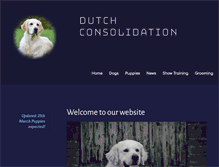 Tablet Screenshot of dutchconsolidation.nl